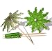 50 Pcs Cocktail Drink Green Tropical Coconut Palm Tree Paper Umbrellas Picks - Cocktail Parasols Cupcake Picks for Hawaiian Party and Pool Party Tropical Supplies