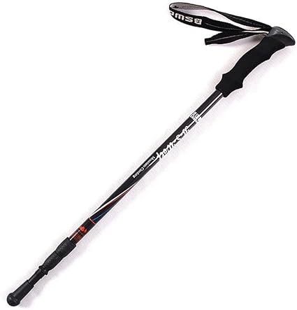 walking stick for mountain climbing