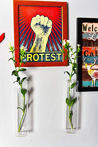 Kingbuy Wall-Mounted Plant Terrarium Propagation Station - 4 Cylinder Hanging Glass Tubes Planter for Hydroponic Plants, Indoor Wall Vases & Decorative Plant Holder Bathroom Office Living Room Decor - Image 4