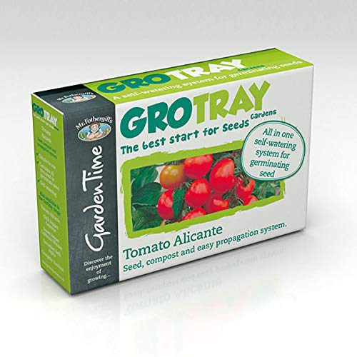 Portal Cool Mr Fothergill'S Grotray Tomate Alicante