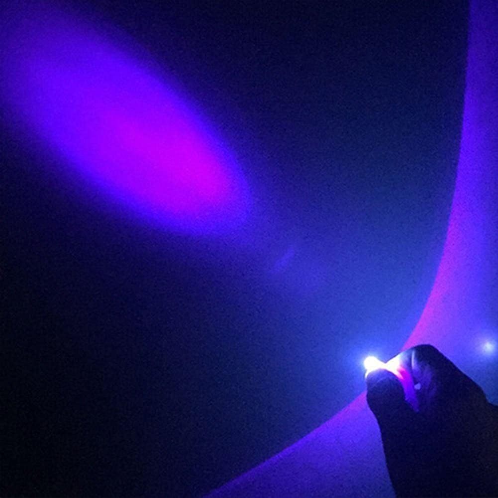 10 Packs Mini Uv Keychain Flashlight, Led Light, Portable Small Uv Light, Ultra Bright Tiny Flashlight for Pet Stains, Scorpions, and Document Verification