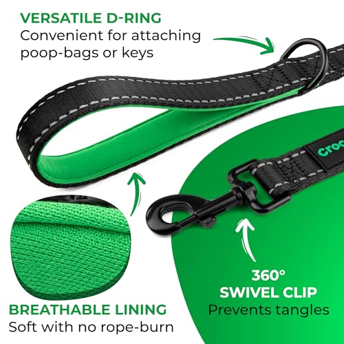 6 Foot Long Dog Leash with 2 Padded Handles – for Large and Medium Dogs – Walking Lead with Reflective Stitching and Traffic Handle for Control and Flexibility – Black 6 Foot Long Dog Leash with 2 Padded Handles – for Large and Medium Dogs – Walking Lead with Reflective Stitching and Traffic Handle for Control and Flexibility – Black