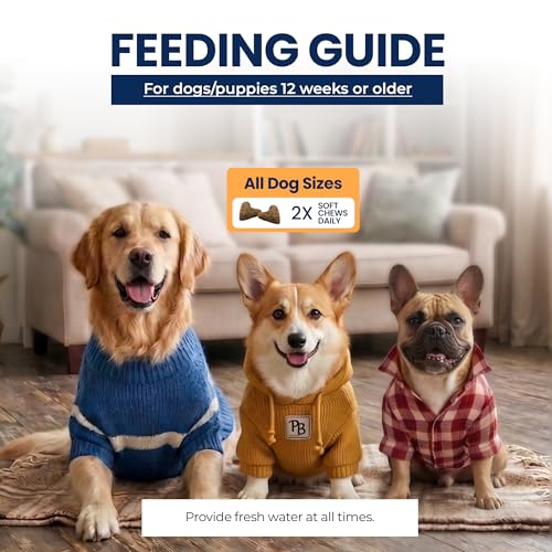 Image of Dog Multivitamin Soft Chews with Probiotics, 60 Count | Vitamins, minerals and omega fatty acids support daily nutrition, immunity, joints, digestion, skin and coat.