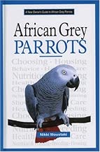 A New Owner's Guide to African Grey Parrots