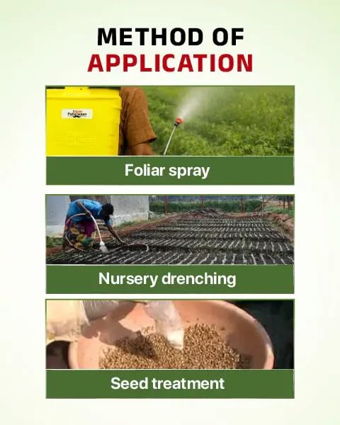 Image of INDO-FIL M-45 100gm + Hand Gloves | Fungicide for all type of Plants | Prevent Rottings and leaf Blights | No more Fungal disease.