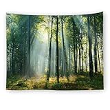 タペストリー 自然風景 壁掛け 緑の並木 木漏れ日の森 クリーク 風景画 多機能壁掛け 気分転換 布ポスター 掛け物 窓カーテン 新居祝い 贈り物 吊り布 壁の装飾