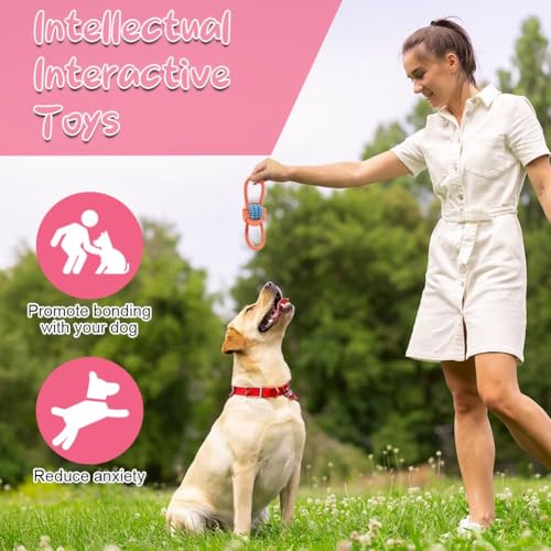 AMFUN 9 Stück Hundespielzeug Set, Hundespielzeu Kleine Hunde, Plüsch Hundespielzeg Mit Quietscher, Quietschend Kauspielzeug für Kleine Mittlere Hunde, Plüschspielzeug