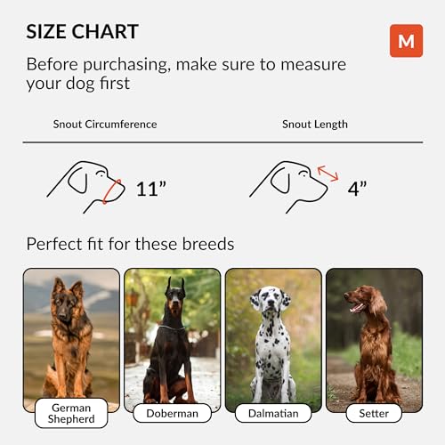 CollarDirect Maulkorb für Hunde, Deutscher Schäferhund, Dalmatiner, Dobermann, Setter, Lederkorb, mittelgroß, für große Rassen, Schwarzbraun (M, Kastanienbraun)