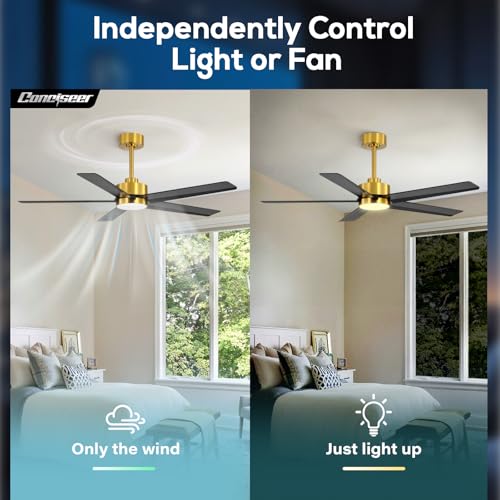 Image of Conciseer 52 Inch Ceiling Fans with Lights and Remote for Bedroom Living Room Kitchen Office, Indoor /Outdoor Use, 3CCT Dimmable, 5 Blades 6 Speed Reversible Quiet DC Motor, Gold /Black