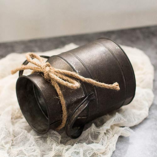 Leikance Vintage Metal Vase,Garden Metal Plant Pots Vintage Milk Churn Flower Bucket Hanging Flower Holder - Image 2