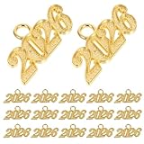 PACKOVE 100 Dijes Colgantes Mini 2026 para Manualidades, Charms Metálicos Dorados Pequeños para Pulseras y Collares de Graduación, Accesorios Ligeros para Bricolaje y Decoración