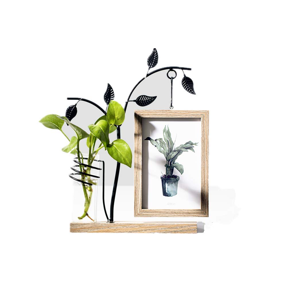 Picture Frame Vase Decor For You