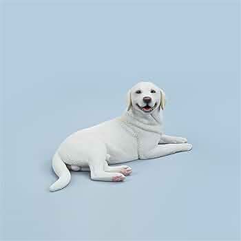 レトリバーページ 51OKkDepTUL._UF350,350_QL50_.jpg