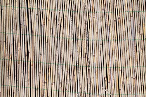 artplants.de Sichtschutz Schilfrohrmatte Luca, naturfarben, 600cmx140cm - Schilfmatte/Sichtschutzzaun – Bild 6