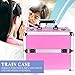 Ver Beauty Makeup Organizer, Cosmetic Travel Kit, Makeup Artist Supplies, 2 Sliding Trays, Lockable Storage Box, Makeup Train Case, Aluminium Case, Lightweight Makeup Vanity (Pink Stripes)