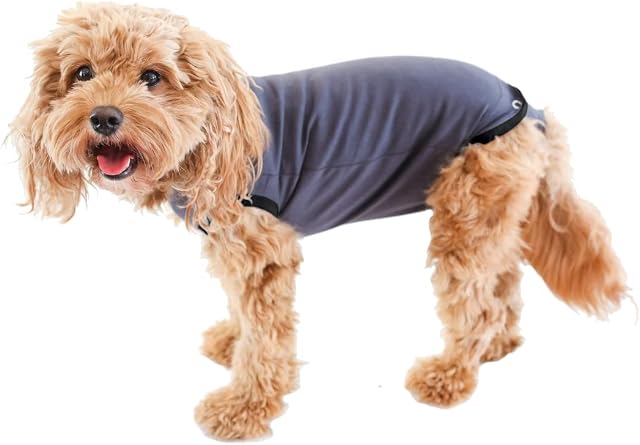 BellyGuard - After Surgery Dog Recovery Onesie, Post Spay, Neuter, Body Suit for Male and Female Dogs, Comfortable Cone alternative for Large and Small Dogs, Soft Cotton Covers Wound, Mini