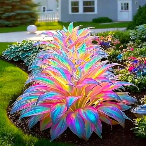 Mixrug Mixed 305+ Hosta Seeds Mix for Planting Colorsed Hostas Seeds Rare Perennial Under Trees & North Facing Areas Shade Drought Tolerant Perennial Ground Cover with Decorative Gardens