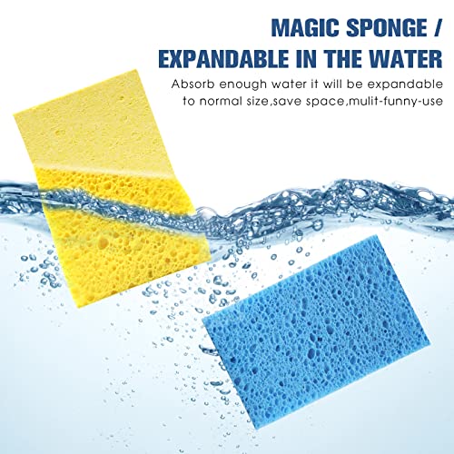 Image of Compressed Cellulose Kitchen Sponges 24Pack,Non-Scratch Biodegradable Natural Sponge Scrub for Dishes Cleaning,Funny Colorful DIY Sponge for Kids