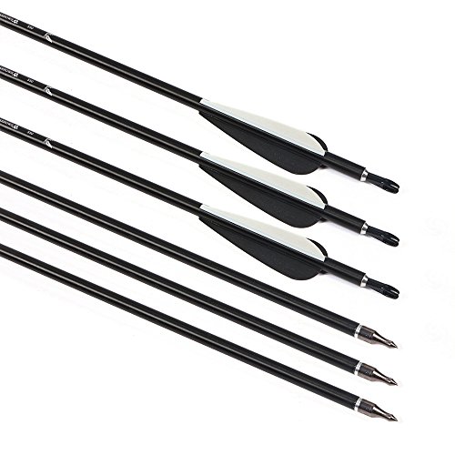 Huntingdoor 31" Archery Recurve And Compound Bow Aluminum Arrows 12Pcs (Black) #TOP2