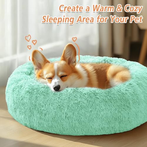 Image of JOLLYVOGUE Calming Small Dog & Cat Bed for Indoor Cats - 20 inches Washable Donut Bed for Kittens & Puppies, Anti-Anxiety Round Fluffy Plush Pet Beds (Fits up to 15 lbs, Mint Green)
