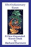 The Evolutionary Tarot