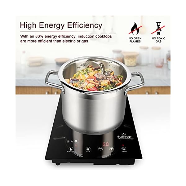 Duxtop Builtin Countertop Burner, Portable Induction Cooktop, Sensor