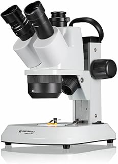 Microscópio Estereoscópico