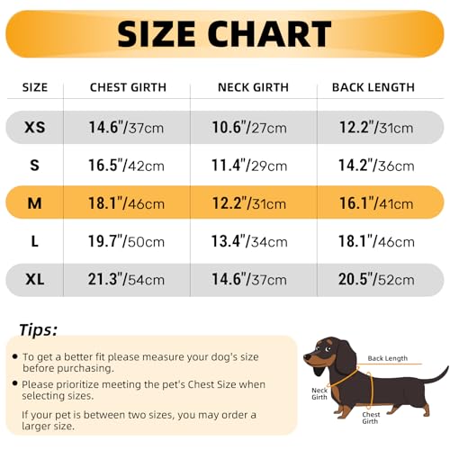 Lelepet Hundeshirt für Dackel, Hund Sommer T-Shirt Weiches Hundehemd, Atmungsaktives Dackel Hunde Shirt, Dehnbare Dackelkleidung, Leichter Hundepullover Shirt, Schwarz M
