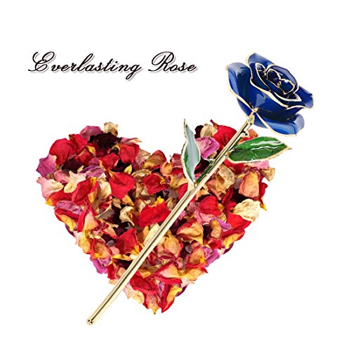 Ejoyous 24K Gold Rose Flower With Long Stem Real Fresh Rose Dipped In Gold Forever Blooming Rose With Gift Box, Gift For Women Girls On Christmas Birthday Mother's Day Anniversary Graduation #TOP6