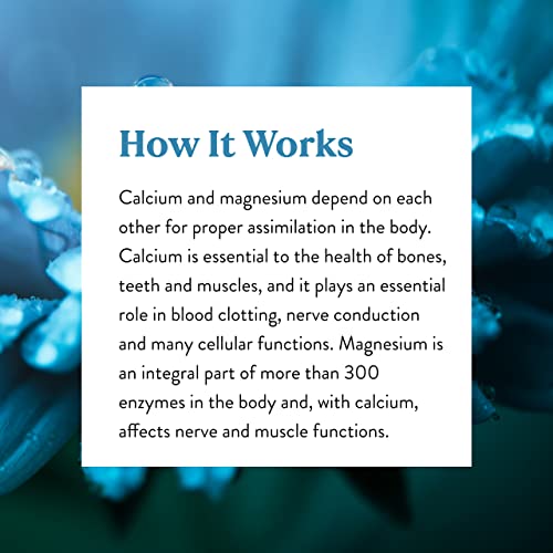 Nature's Sunshine Calcium-Magnesium, Synerpro, 150 Tablets , Calcium Multivitamin Provides Vital Nutrients For Bones, Muscles, Ligaments, Tendons, And Skin #TOP5
