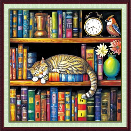 Image of Foxhool Stamped Cross Stitch Kits,11CT Printed Cross Stitch Pattern Full Embroidery Kits for Beginner Needlepoint Kits-Cat Sleeping in Bookshelf 18x18 inch
