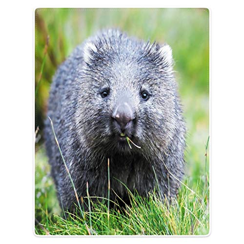 Manta De Franela Animal Wombat En La Hierba Manta De Felpa Suave Caliente Mantas para Sofá Personalizada Manta De Cama Doble, para Sofá, Habitación, 100x125cm
