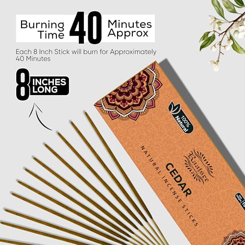 Image of Raajsee Cedar Incense Sticks, 100%-Natural Charcoal Free Organic Non Toxic Clean Burning Handmade Insence Sticks 100 gm Pack, Meditation Gifts - Spritual Cleansing