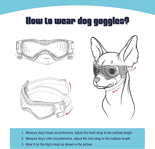 PETLESO Dog Goggles for Small Dogs with Helmet, 2pcs Dog Sunglasses and Dog Helmet Set for Small Medium Dog Outdoor Driving Walking, Black PETLESO Dog Goggles for Small Dogs with Helmet, 2pcs Dog Sunglasses and Dog Helmet Set for Small Medium Dog Outdoor Driving Walking, Black