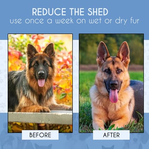Candure Haustierfreundliche Hundebürste für Haarausfall & Effektive Haarentfernung 17+9 Doppelseitiger Entfilzungskamm für Hunde & Katzen Haarbürste zum Ausfallen (Schwarz)