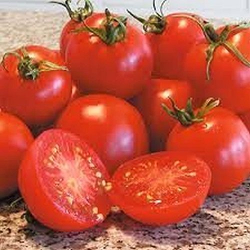 Glacier Tomato Seeds - High Yield, Season-Long (10 Seeds)