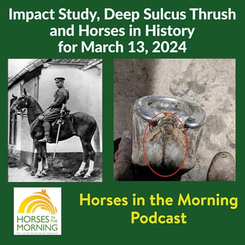 HITM for March 13, 2024: Impact Study, Deep Sulcus Thrush and Horses in History