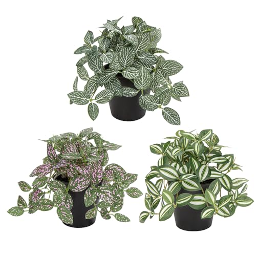 Small Artificial Plants Indoor in Pot Set of 3 Decorative Fake Plants Realistic Faux Plant Potted for Home Aesthetic Living Room Bathroom Desk Shelf Office Decoration