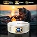 Bettdow 4K Unterstützt Beamer, Full HD 1080P 9000 Lumen Elektrischer Fokus Automatische Trapezkorrektur, Video Beamer mit WiFi6 & Bluetooth 5.0, Geschlossener Projektor Heimkino (Beige)
