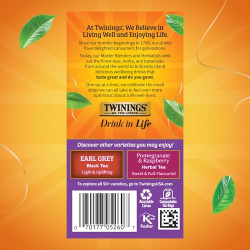 Image of Twinings Blackcurrant Breeze Black Tea Individually Wrapped Bags, 20 Count (Pack of 1), Sweet, Tangy Taste, Caffeinated, Enjoy Hot or Iced, 20 Teabags