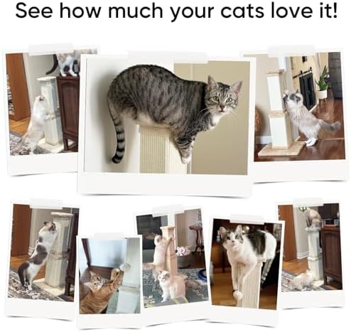 AGYM Cat Scratching Post for Large Cats — bottom and base construction detail