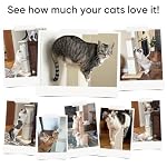 Cat Scratching Post for Large Cats, Cat Scratcher for Indoor Cats Adults, Sturdy Sisal Scratch Post to Protect Furniture, 32 Inch, Beige - Image 6