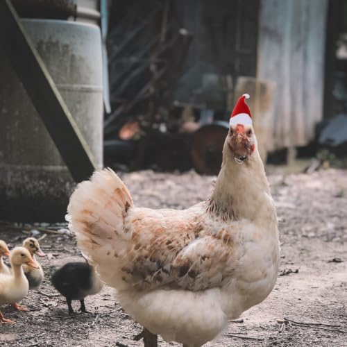 Gorro elástico de pollo para mascotas con bufanda navideña de felpa PRETYZOOM 6