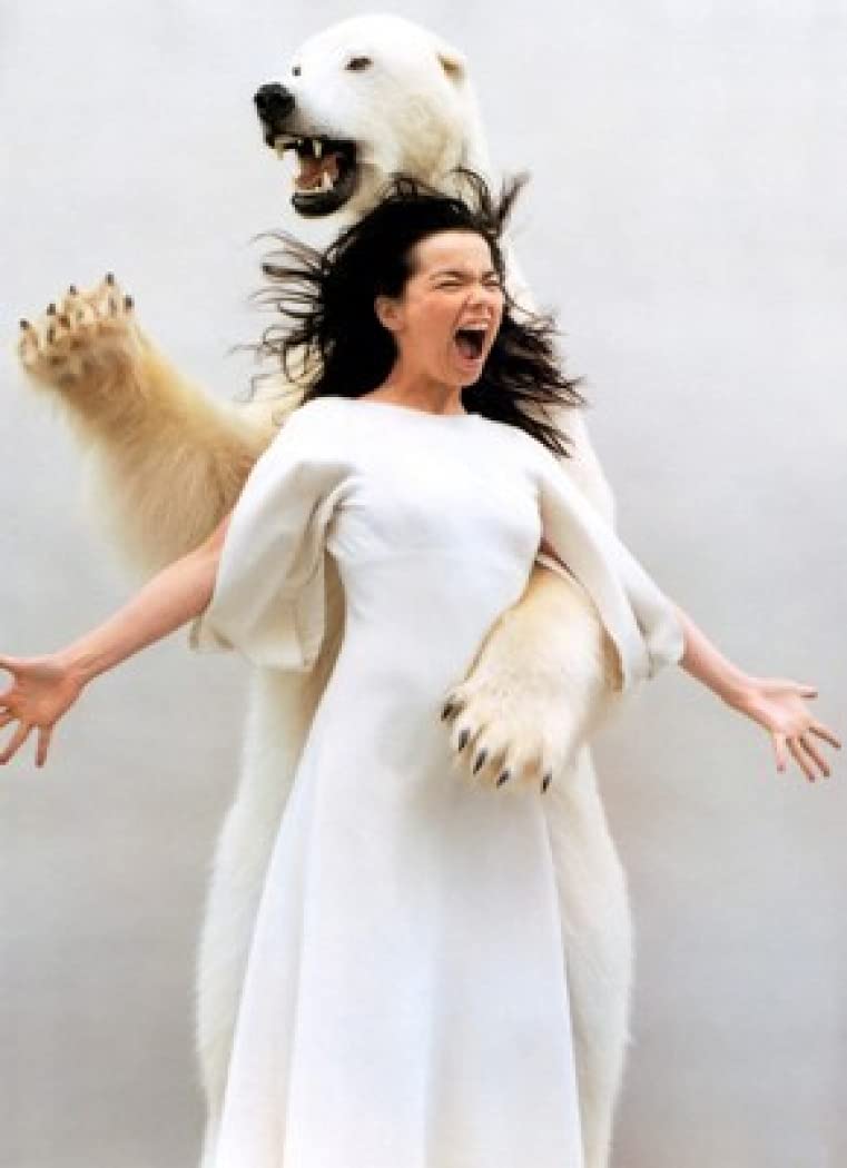 Bjork - 18X24 Poster Print Boss #BHG12210