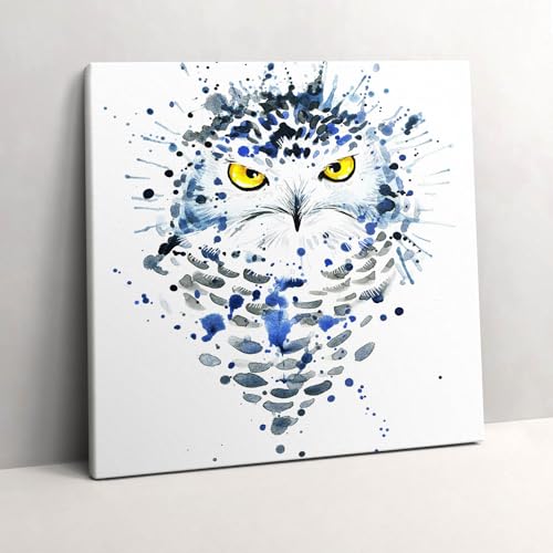 Image sur toile chouette 60x60cm pour habiller un mur blanc vide