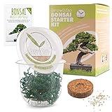 PERFEKTES GESCHENK - Für Jung & Alt, Männer, Frauen oder Kinder und zu allen möglichen Anlässen. Über dieses Bonsai Tree Kit freut sich jeder Beschenkte ganz sicher und bekommt einen grünen Daumen!