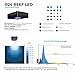 CURRENT USA Orbit R24 Reef LED Aquarium Light with Flex Arm Tank Mount | Wireless Light and Pump Controller | Loop App - Bluetooth (Dual Light Kit)