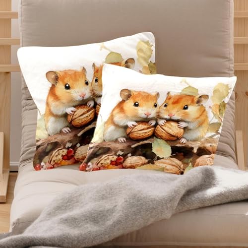 Housses de coussin velours doux double face, protège et décore 50x50