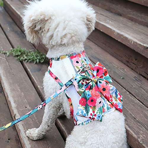 Conjunto de arnés y Correa de Malla de Nailon Transpirable para Perros Chaleco de arnés de Chihuahua Estampado a la Moda con Lazo para Perros pequeños y medianos Gatos