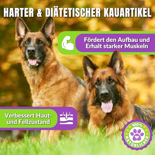 Naturbiss Hasenohren mit Fell für Hunde – 20 Stück - Barf Leckerli Hypoallergen Kausnack für Zahnpflege, Kaninchenohren 100% Natürlich - Welpen, Senioren – Trockenbarf für Hund